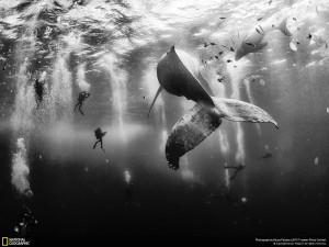 National Geographic Travel pic 2015