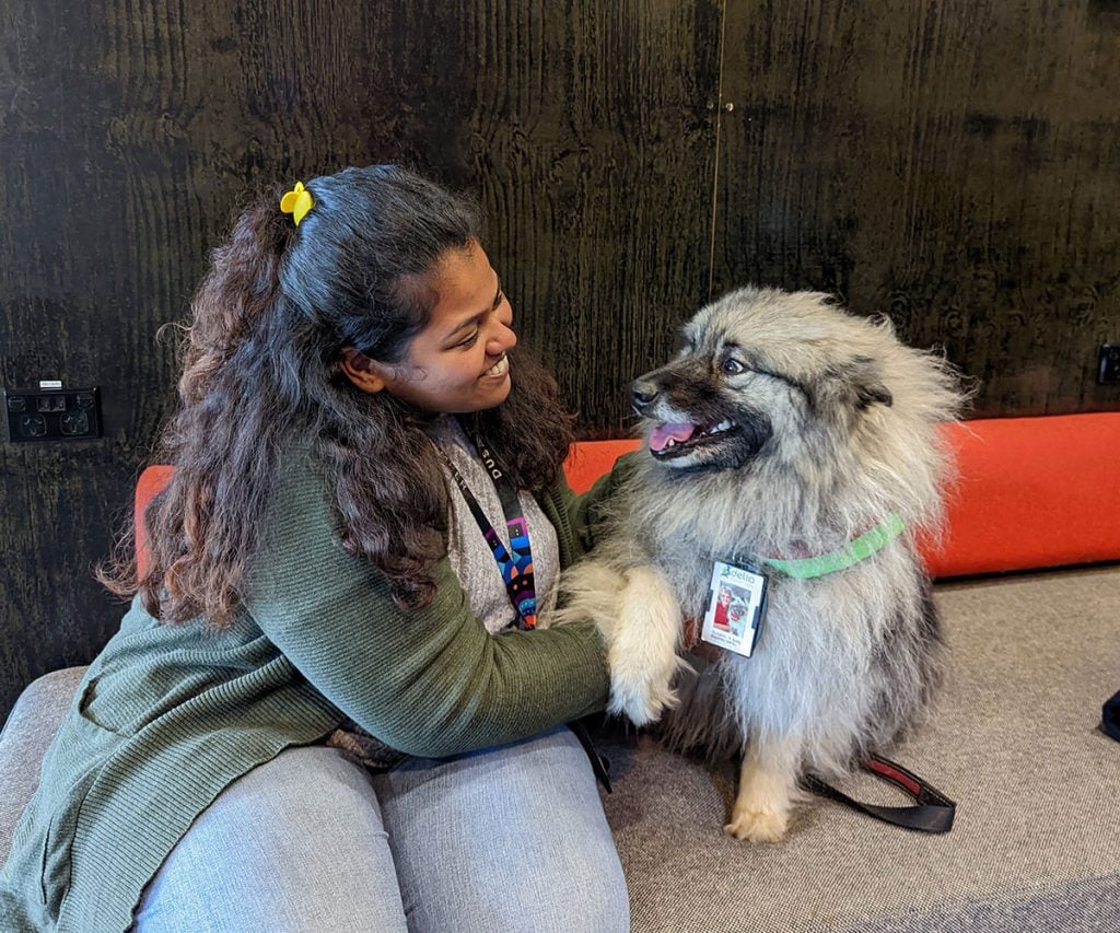 A student interacting with a therapy dog during a visit to the library in 2022. 