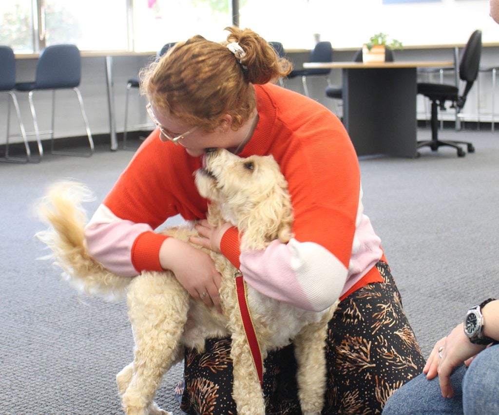 A student interacting with a therapy dog during a visit to the library in 2022. 
