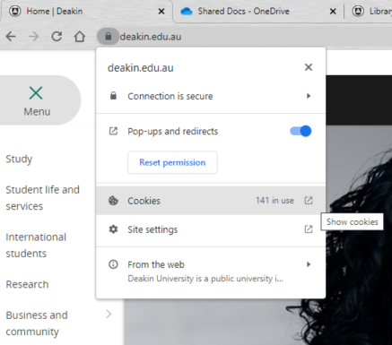 screenshot of the Chrome browser, showing where the Cookies menu option is