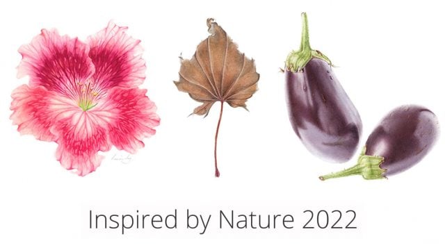 Three botanical artworks, of a flower, a leaf and two eggplants. Text below the artwork reads Inspired by Nature 2022