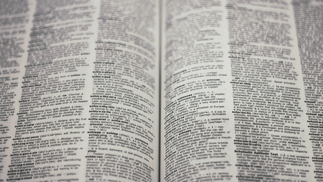 Close up of text from a dictionary