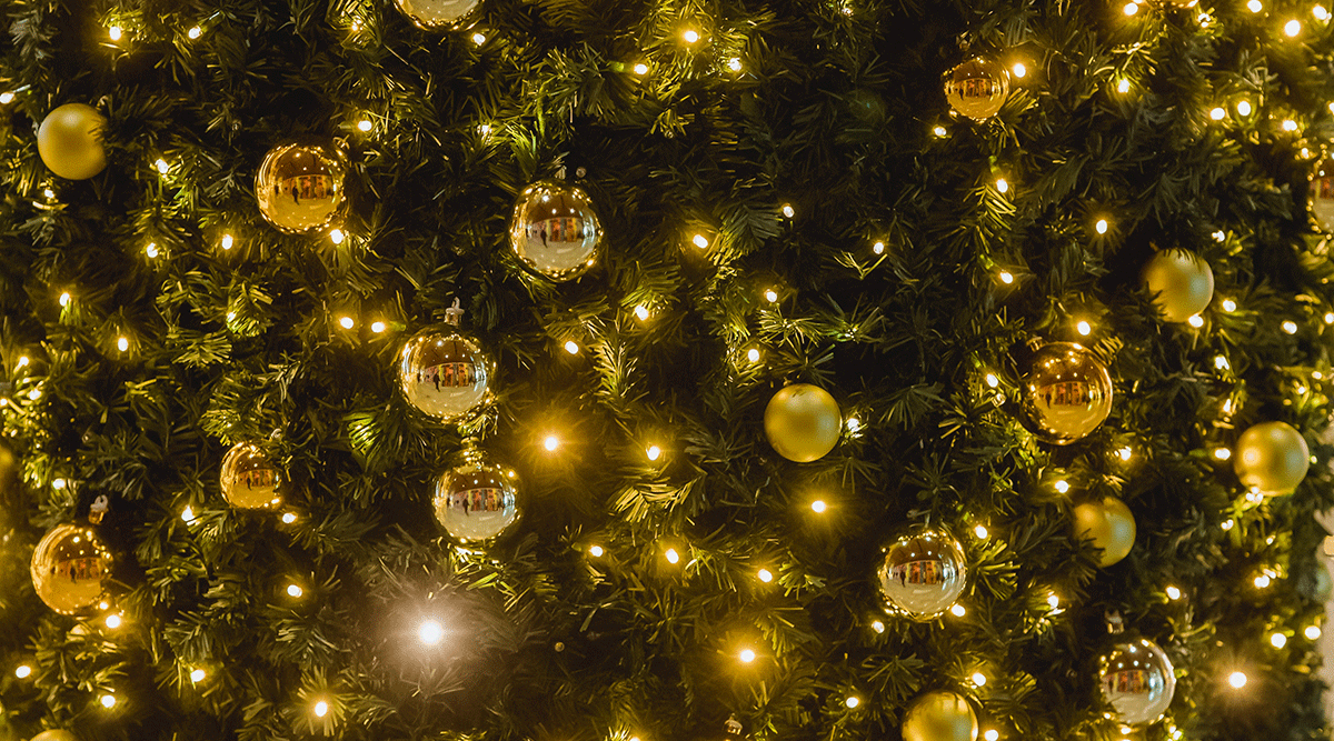 Baubles and lights on a Christmas tree