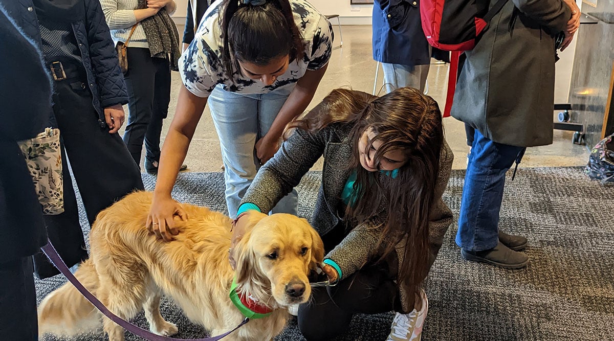 Two students leaning down to pat a golden retriever dog
