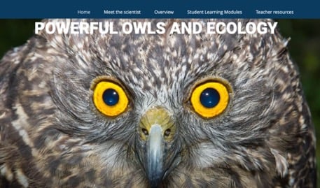 Powerful Owls and Ecology