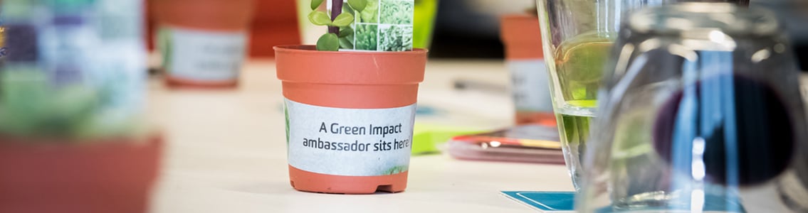 Become a Green Impact Ambassador
