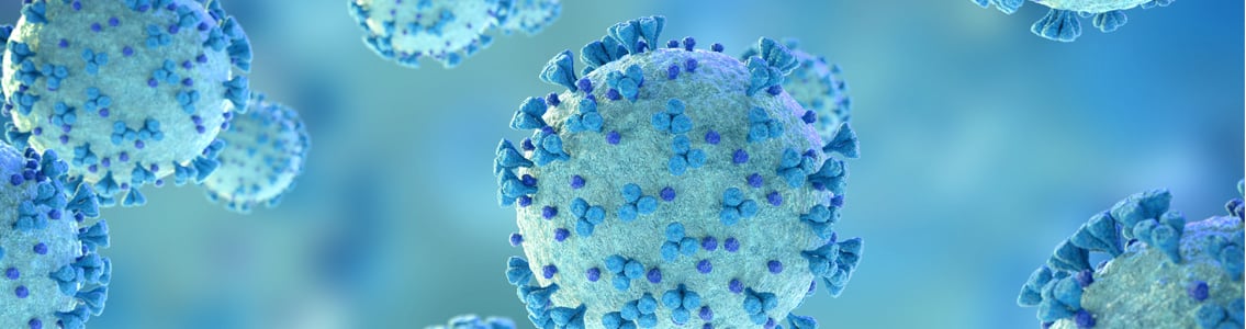 microscopic view of COVID-19 virus