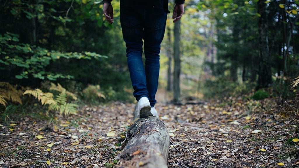 Person walking on log in forest