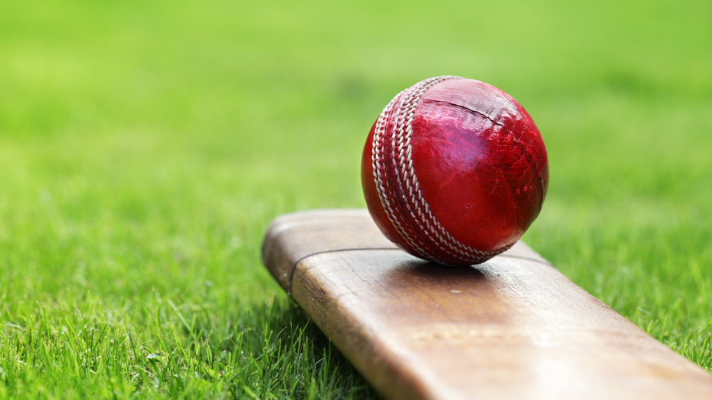 Cricket ball resting on bat