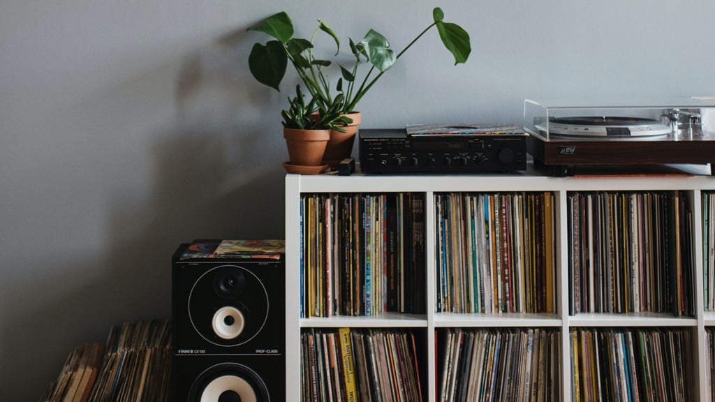 Interior shot of shelves full of records with record player and plant on top