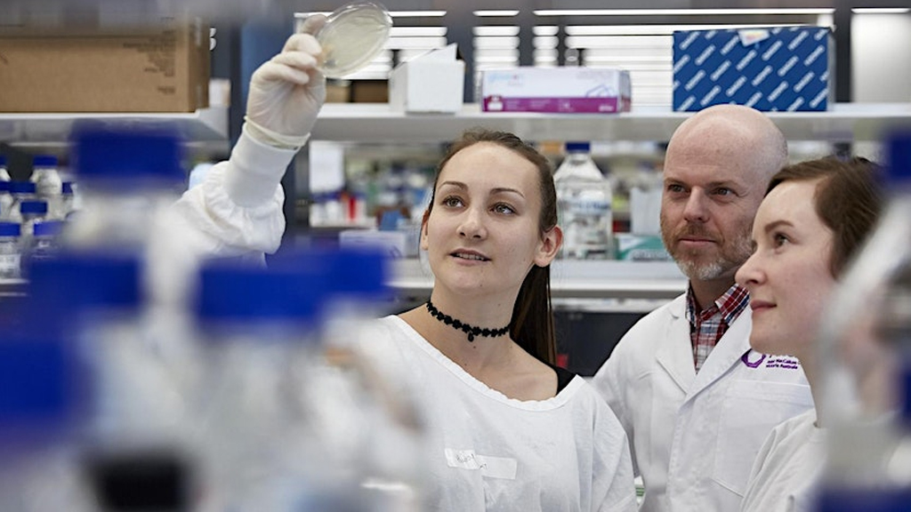 Research student reviewing results from lab test