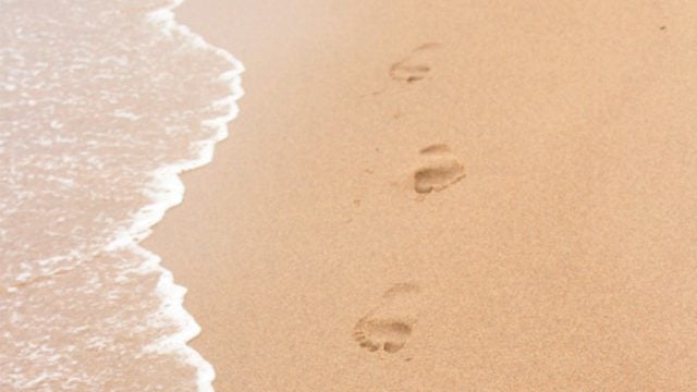 Footprints on sand at water's edge