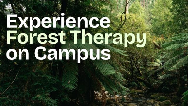 Forest with overlaid Forest Therapy branding