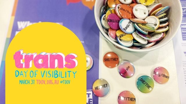 Trans Day of Visibility branding and pronoun badges