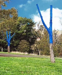 Blue trees at Waurn Ponds Campus, part of the Blue Tree Project campaign