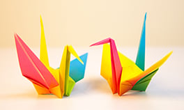 Two rainbow-coloured origami cranes, angled to face one another